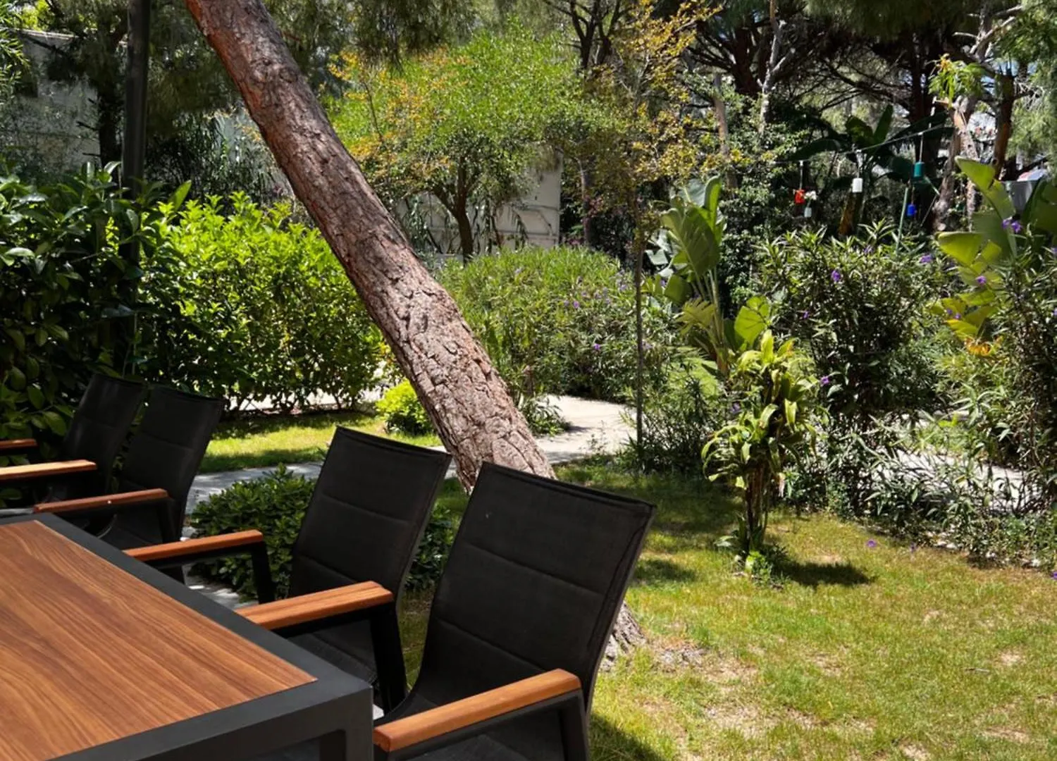 Byakkan Hotel Bodrum Turcja