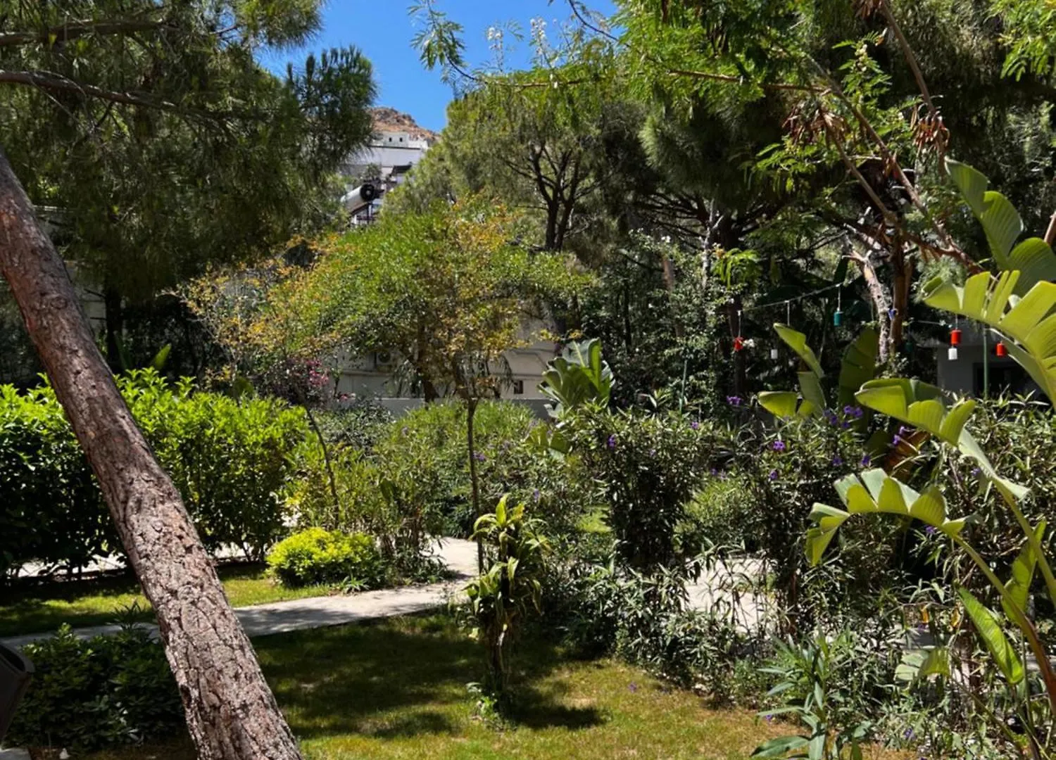 Byakkan Hotel Bodrum