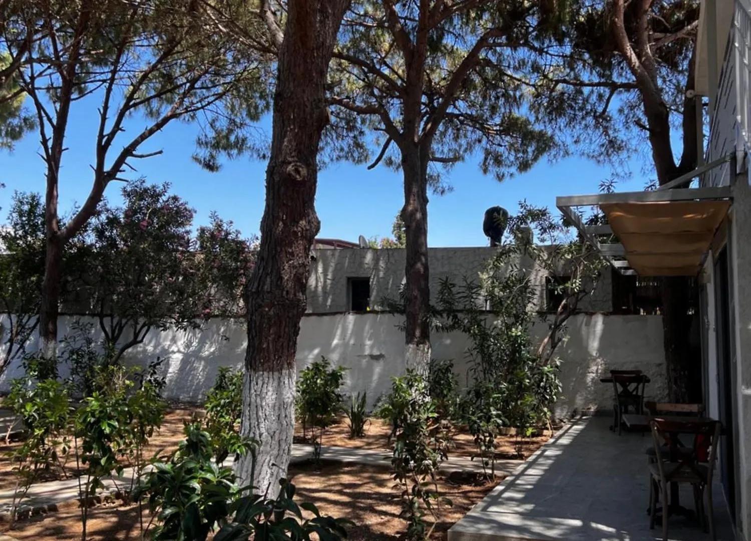 Byakkan Hotel Bodrum Turquia